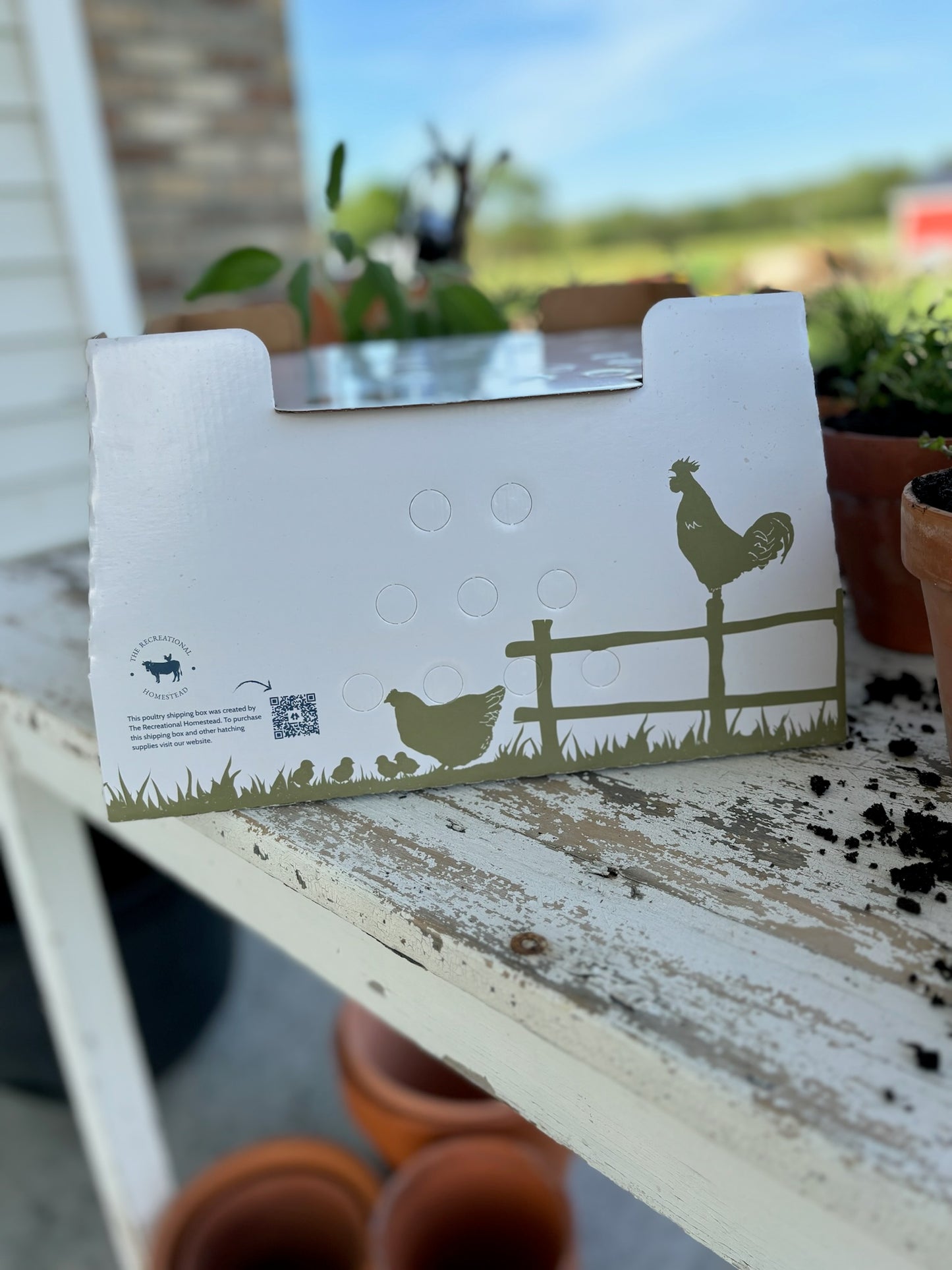 1 FREE Chick Shipping Box Made in USA