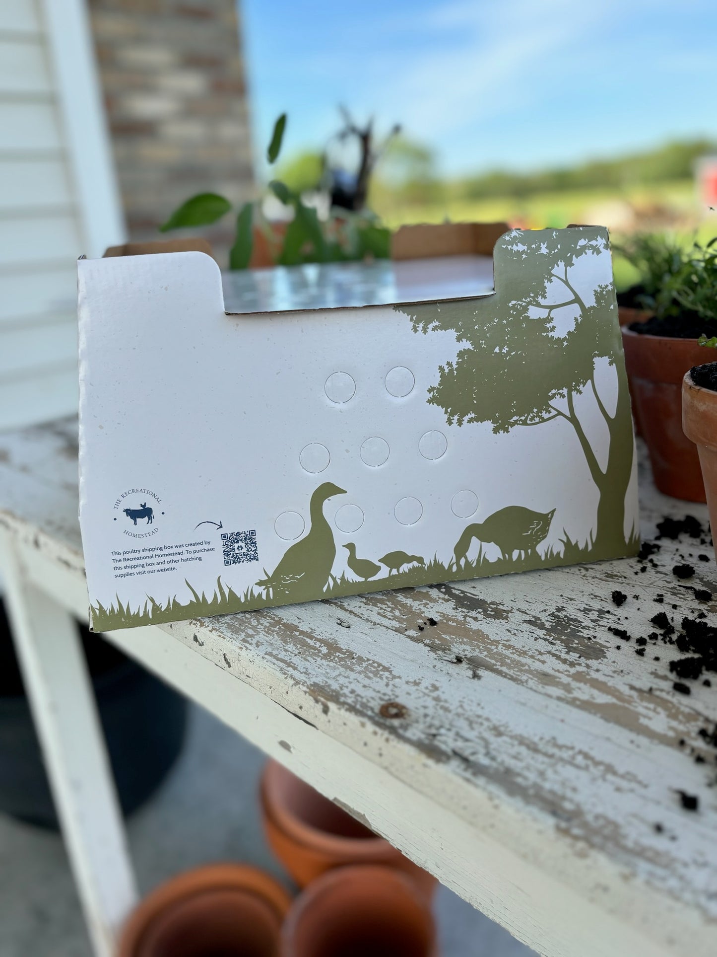 1 FREE Chick Shipping Box Made in USA